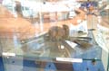 DSCN2820