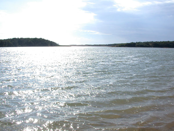 DSCN6855