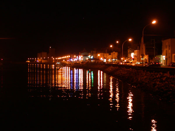 DSCN7739